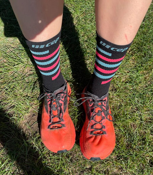 Snímek obrazovky 2025-12-03 125358